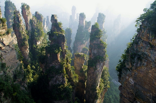 Zhangjiajie List in&quot;Top 10 Cities with the Highest Forest Coverage&quot;