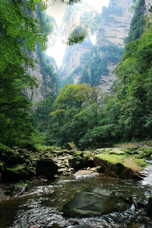 Summer Retreat Tour Heating Up in Wulingyuan