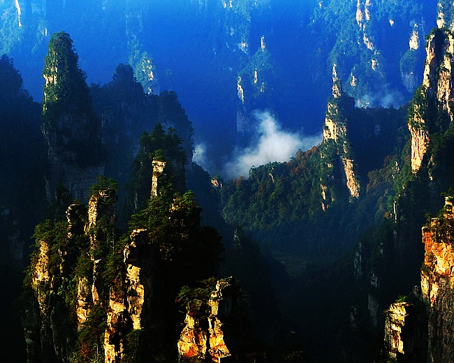 Hunan Attracts 8 More of World’s Top 500 Enterprises