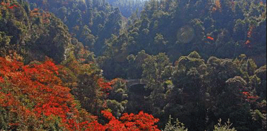 Hunan Information Industry Achieves 100 Billion Yuan Output