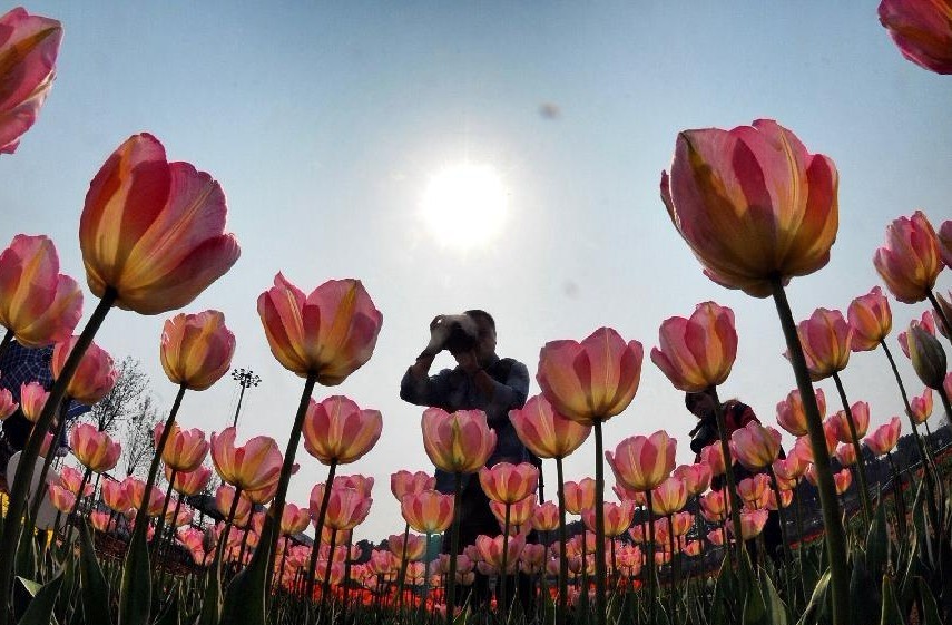 Iran Diplomats Extol Hunan Culture