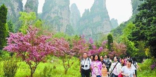 Hunan Tourism Propelled by Its Splendid Landscape