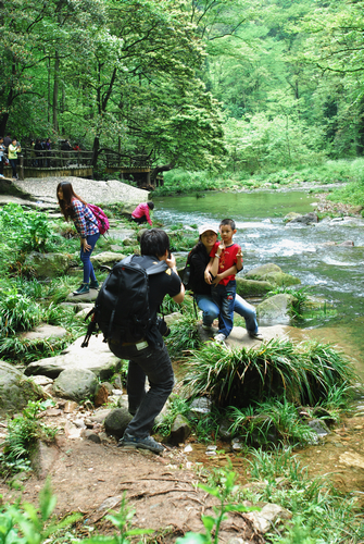 Memory of Golden Whip Stream in Zhangjiajie