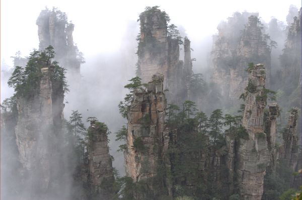 Zhangjiajie misty rain beauty in early summer[Photo Gallery]