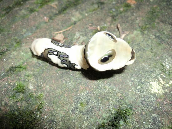 Zhangjiajie Insects like human head