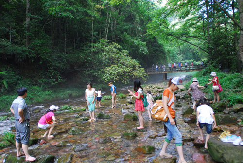 ZJJ National Forest Park usher in Peak season in the summer
