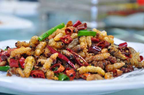 A Bite of Zhangjiajie-Tujia Fried Bee Pupa