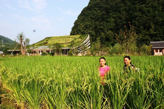 Zhangjiajie Huanglong Cave : Harvest in Full Swing