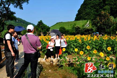 ZJJ Huanglong Cave Self-driving Tourists is Soaring