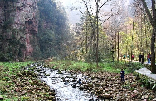 ZJJ Jinbian Stream Scenic Spot Realized Safety and Satisfaction