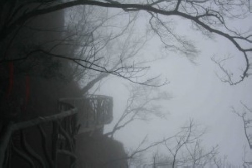 ZJJ Terrible Weather Challenged The First Wing-Suit Flying Grand Prix