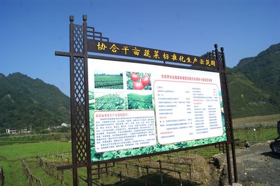 ZJJ Wulingyuan Xiehe’s Vegetable Garden with Beautiful Scenery