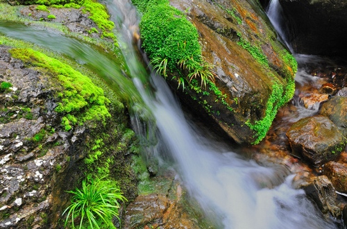 ZJJ Zhonghu Village, A New Choice of Ecotourism