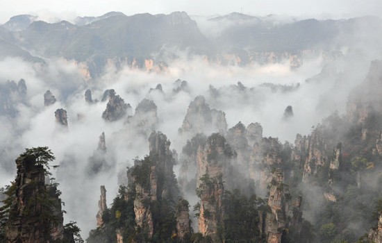 Wulingyuan’s sea of clouds Beautifying “Zhangjiajie Landscape”
