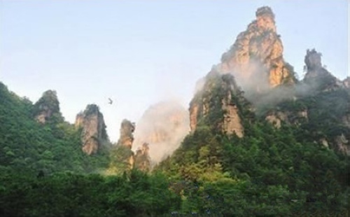 Zhangjiajie Scenic Dynamic Wallpapers were Popular in Network