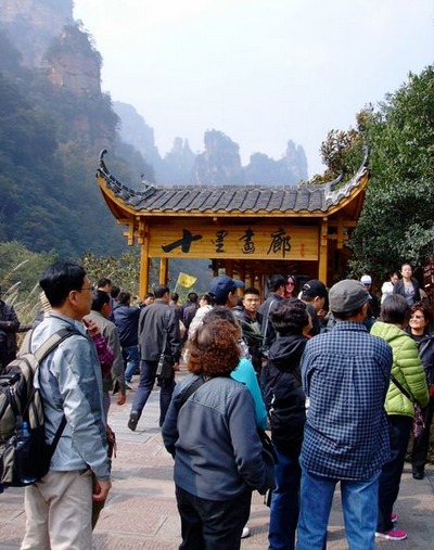 ZJJ Wulingyuan autumn scenery make visitors fascinated