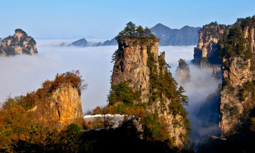 Zhangjiajie Core Scenic Emerging “The Most Beautiful” Sea of Clouds