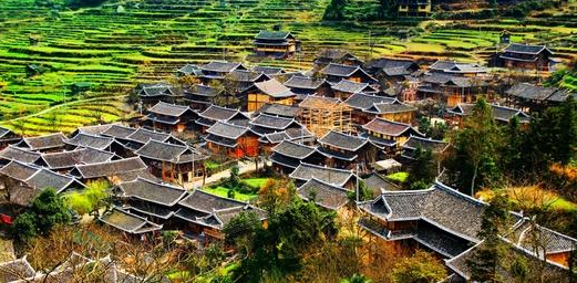 ZJJ’s Varied Measures has been Implemented to Optimize Service Environment