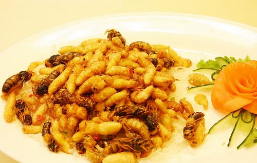 Zhangjiajie Delicious Dish--Fried Honeybee Pupae