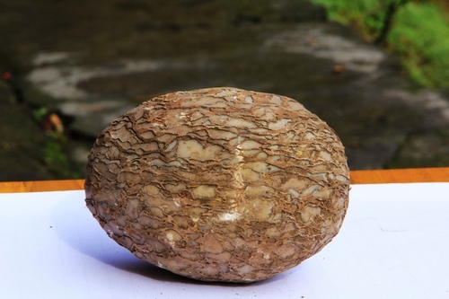 ZJJ YangJiaJie Scenic Spot Appeared Magic “Stone Egg”