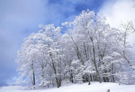 A Prediction of ZJJ Rime in Wulingyuan Scenic Spot on Dec 18th