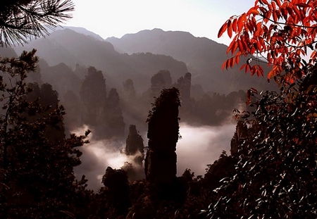 Zhangjiajie Won “Chinese Top Ten Viable Habitats”