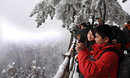 Hunan Oil Camellia Tourism Culture Festival to Be Held in Changning