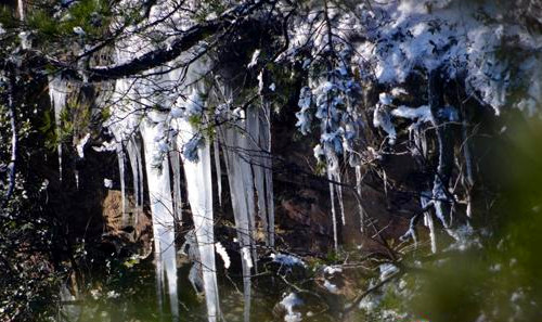 ZJJ Wulingyuan Scenic Spot keep a good start in New Year Tourism