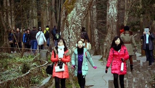 ZJJ Witnessed 15 Thousand Tourists’ Visit on the 1st Day of 2013