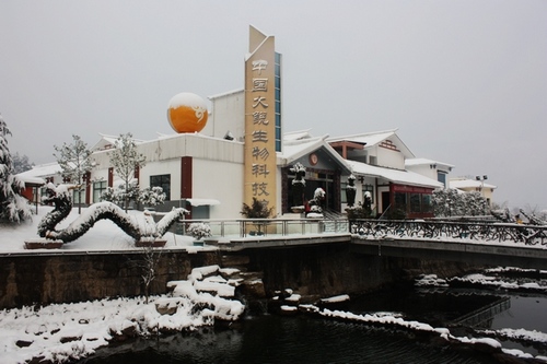 Explanation about Several Main Visas for Traveling Abroad