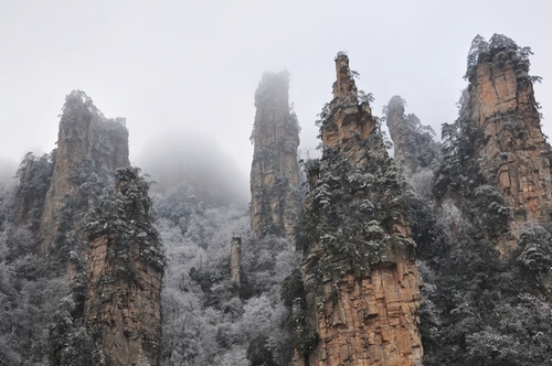 ZJJ Price Elevation of Ropeway, Elevator and Tramcar