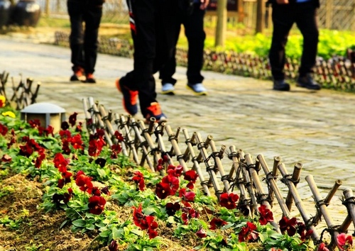 ZJJ Yellow Dragon Cave—Unusual Vegetables Scenery to Capture Your Eyes