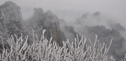 ZJJ Wulingyuan's Beautiful Snowscape Attracts Tourists