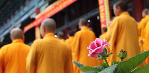 ZJJ Tianzi Town Has a Fine Tourism During Snake Spring Festival