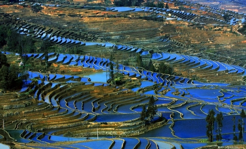The world’s most beautiful terraced landscapes in china