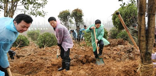 Hunan Provincial Leaders Voluntarily Plant Trees