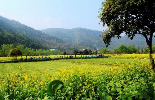 ZJJ Wulingyuan Huanglong Hole with Hundred Acre canola flower sea