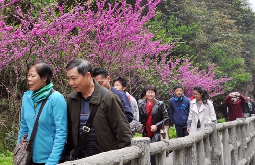 Zhangjiajie Welcoming Flow Peak in Tomb Sweeping Holiday