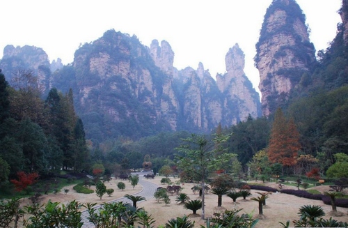 Zhangjiajie Tour For “Ecological Oxygen Bar”
