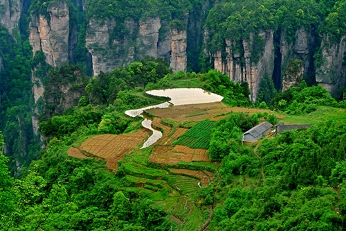 The Most Beautiful Idyllic Scenery Reoccurring in ZJJ Yuanjiajie Scenic Area