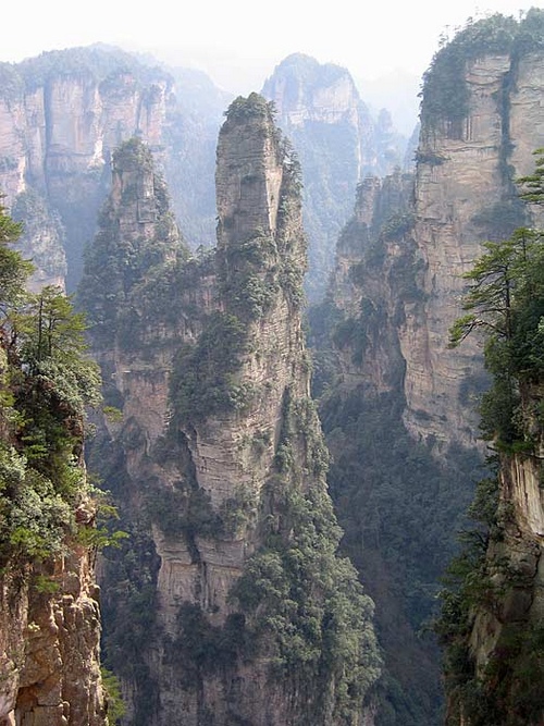 ZJJ National Forest Park, The World Top 10 Charming Forests