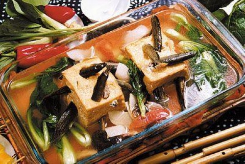 Loaches Inserting into Tofu( Ni Qiu Zuan Dou Fu)