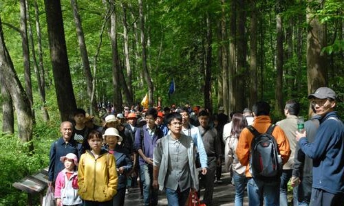 Zhangjiajie National Forest Park Has a Tourism Boom on the Vacation