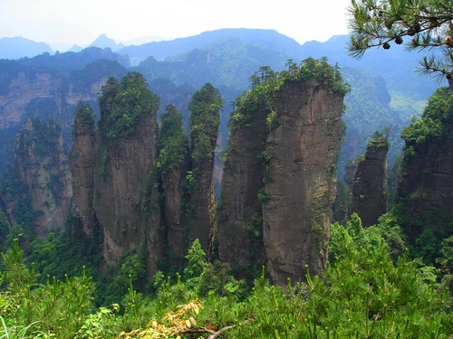Baoqing Bamboo Carving Wins Awards at Arts &amp; Crafts Fair