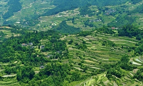 A Refreshing Summer Trip in ZJJ Dragon and Phoenix Terrace