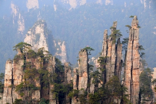 The Academician of Chinese engineering Wangchao Visited Wulingyuan