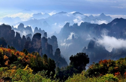 ZJJ Provides One-year Free Charge for Primary and Secondary Students