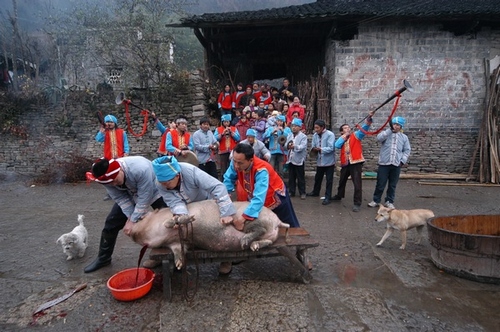 ZJJ Photographer Penglipng Won National Award