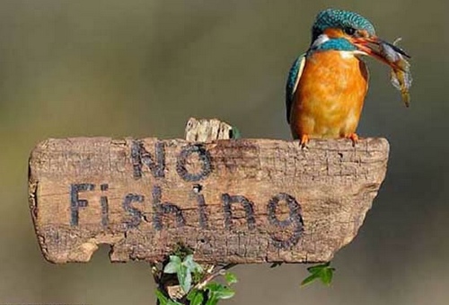 ZJJ“No Finishing”Advocated in Wulingyuan Area