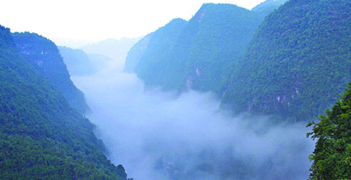 The Nameplate Ceremony of ZJJ 2013 “Culture Heritage Day ” Unveiled